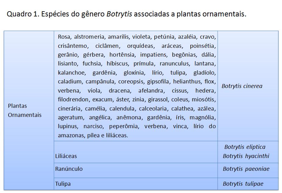 <p><b><p>Quadro 1. Espécies do gênero <em>Botrytis </em>associadas a plantas ornamentais.</p></b></p><p>Autor: Jesus G. Tofoli  </p>