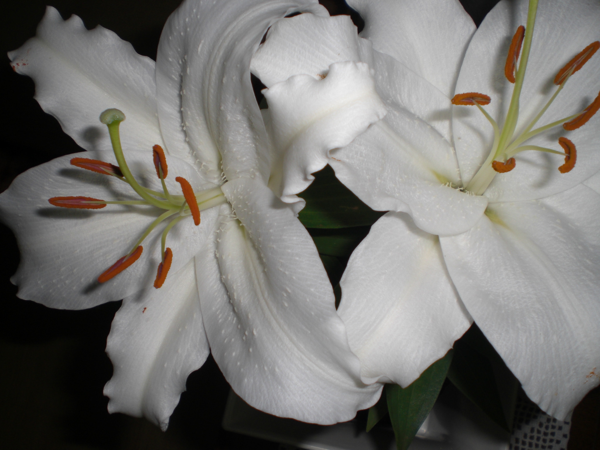<p><b><p>Flores de lírio.</p></b></p><p>Autor: M. Amelia V. Alexandre</p>